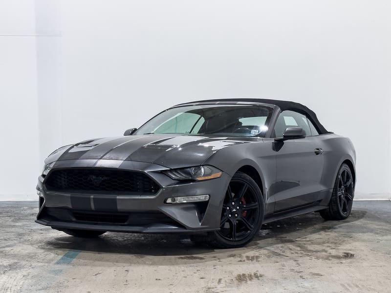 Vehicle photo 1