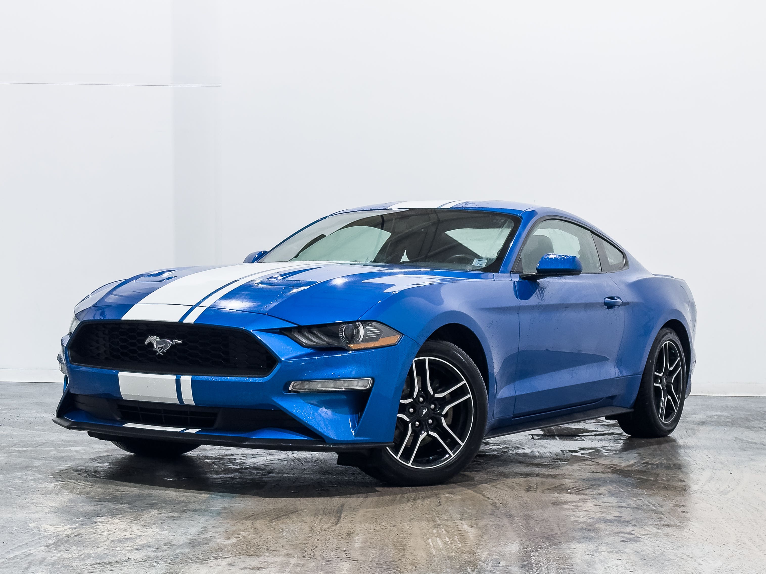  2019 Ford Mustang EcoBoost Coupe RWD   