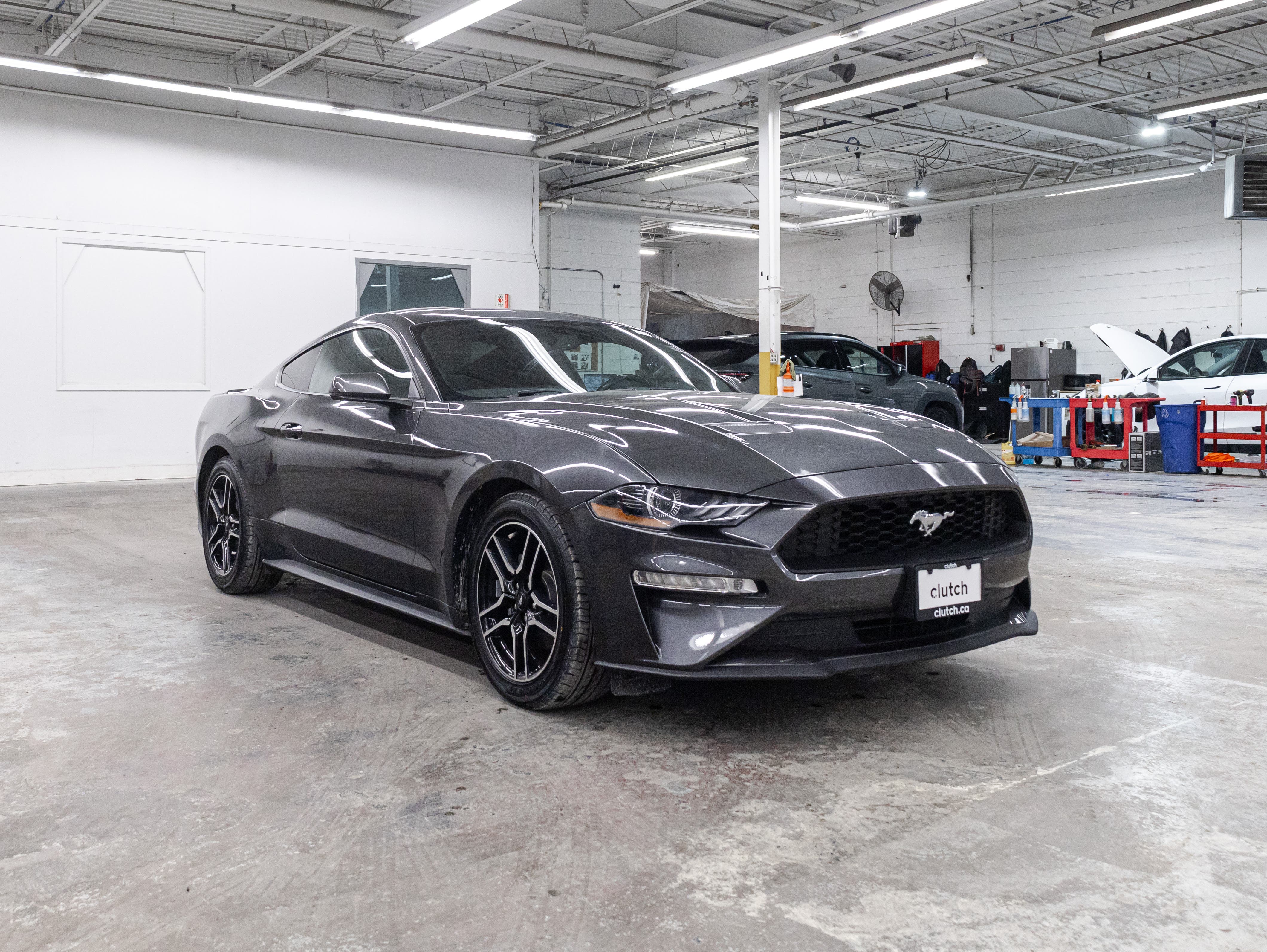 2019 Ford Mustang