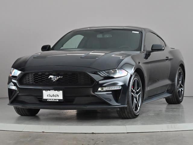 2019 Ford Mustang