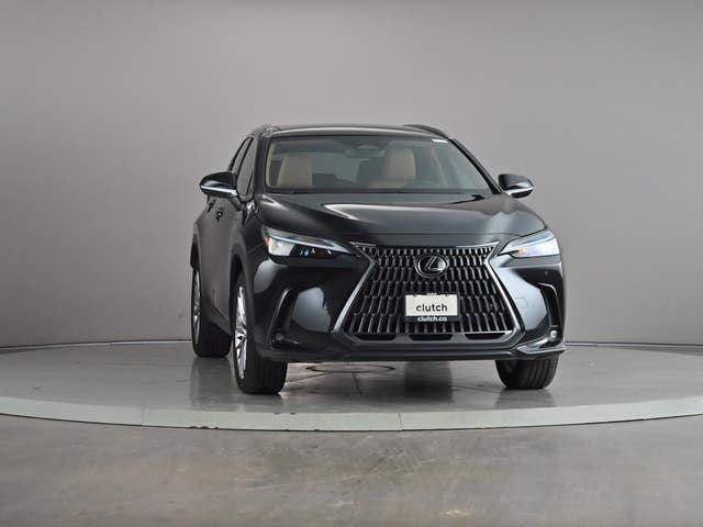 2025 Lexus NX