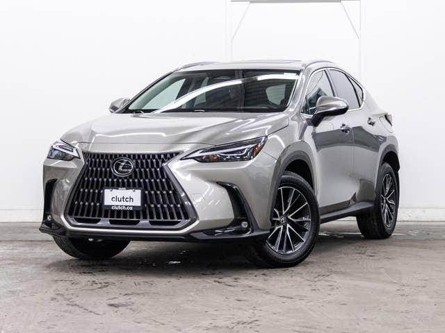 2024 Lexus NX