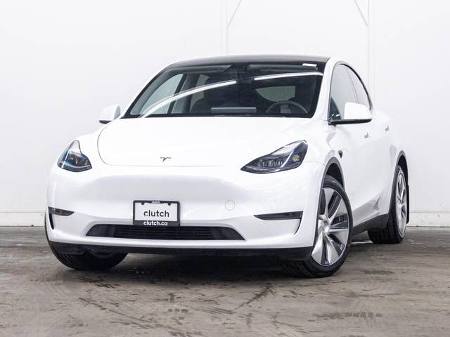 Tesla Model Y RWD