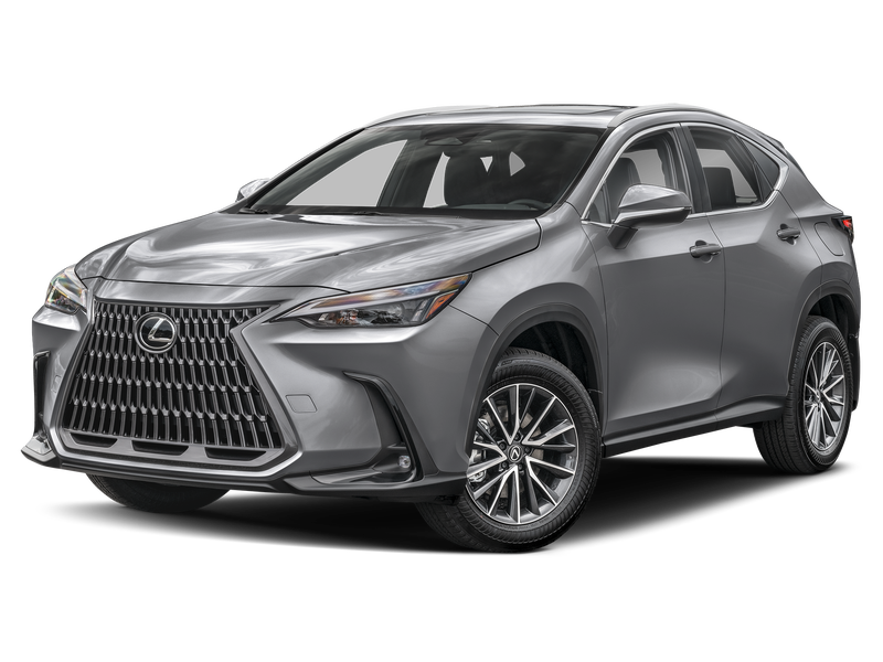 2024 Lexus NX