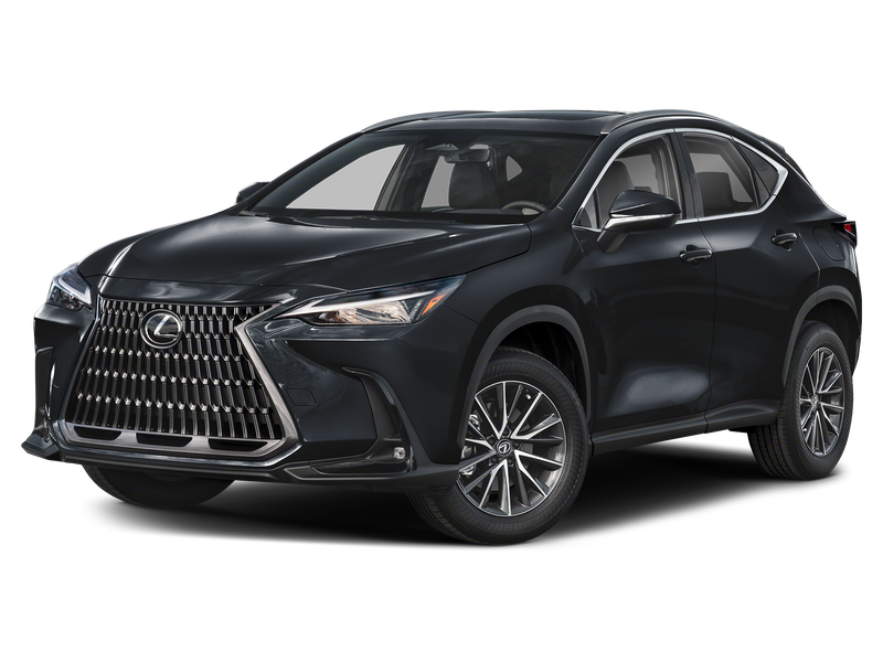Lexus NX NX 250 Signature